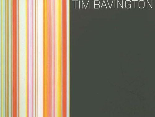Tim Bavington,Used