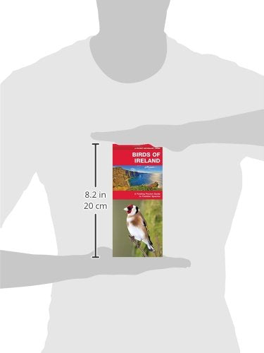 Ireland Birds: A Folding Pocket Guide To Familiar Species (A Pocket Naturalist Guide)