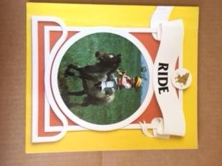 Ride, Walk, Play (Macmillan Reading Express),Used