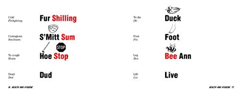Swedish Slanguage: A Fun Visual Guide to Swedish Terms and Phrases (English and Swedish Edition),Used