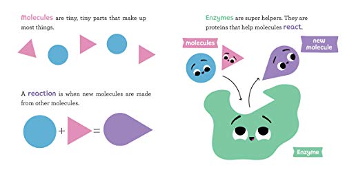 Baby Biochemist: Enzymes (Baby University)