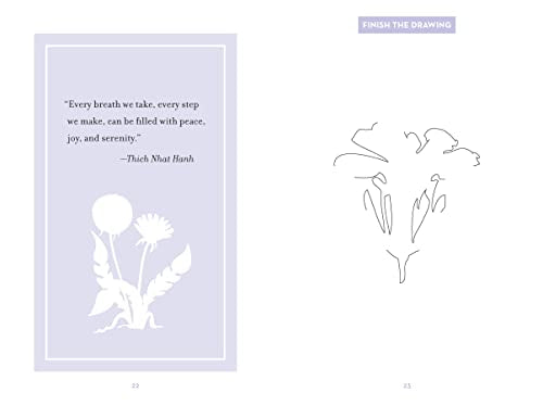 Pocket Posh Take Care: Inspired Activities for Peace,Used