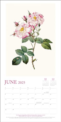 New York Botanical Garden 2025 Wall Calendar,Used