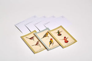 Sibley Backyard Birding Postcards: 100 Postcards (Sibley Birds),New