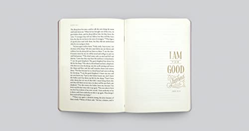 ESV Illuminated Scripture Journal: John,New