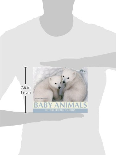Baby Animals of the Frozen Tundra (Nature's Baby Animals),Used