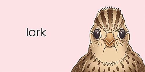 Lark (BigThymeRhyme),Used