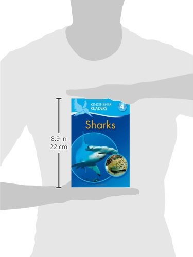 Kingfisher Readers L4: Sharks,Used