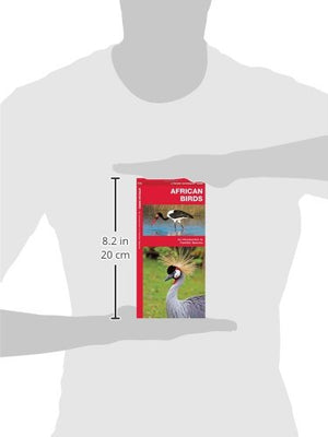 Africa Birds: A Folding Pocket Guide to Familiar Species (Wildlife and Nature Identification),Used