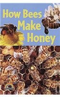 How Bees Make Honey,Used
