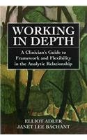 Working in Depth: A Clinician's Guide to Framework and Flexibility in the Analytic Relationship,Used