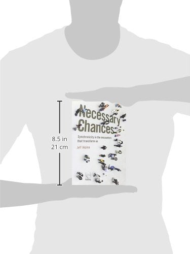 Necessary Chances: Synchronicity in the Encounters That Transform Us,New