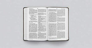 ESV Large Print Value Thinline Bible (TruTone, Olive, Celtic Cross Design),Used