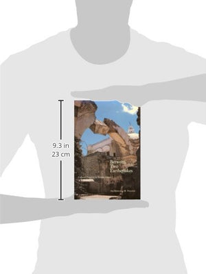 Between Two Earthquakes: Cultural Property In Seismic Zones,Used