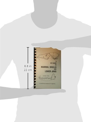 KeyGuide to Mammal Skulls and Lower Jaws,New