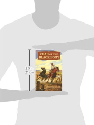 Year Of The Black Pony (Living History Library)-new