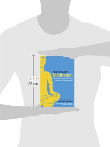 A Beginner's Guide to Meditation: Practical Advice and Inspiration from Contemporary Buddhist Teachers,Used