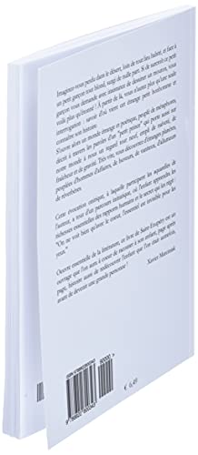 Liderazgo Al Estilo De Jes? (Spanish Edition),Used