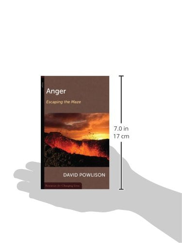 Anger: Escaping the Maze,Used
