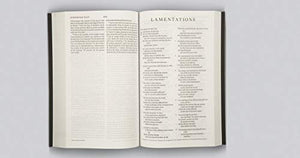 Esv Thinline Bible (Trutone, Espresso)