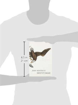 Mount Eagle,Used