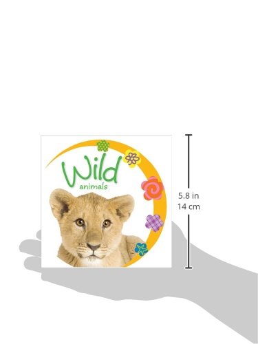 Baby Loves Wild Animals,Used