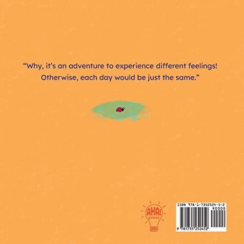 Little Red Fox has Feelings: A Book about Accepting Emotions,Used