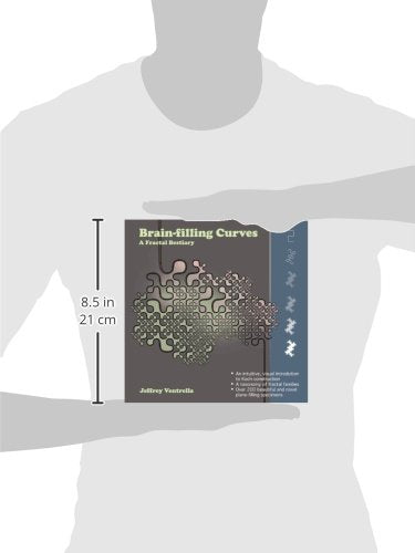 Brainfilling Curves  A Fractal Bestiary,Used