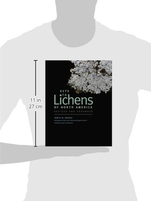 Keys To Lichens Of North America: Revised And Expanded,Used