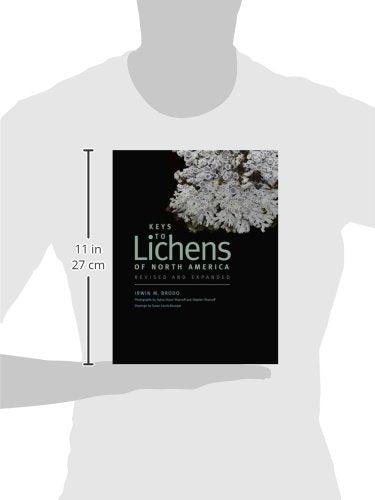 Keys To Lichens Of North America: Revised And Expanded,Used