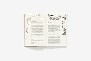 What Shall I Wear?: The What, Where, When, and How Much of Fashion, New Edition,Used