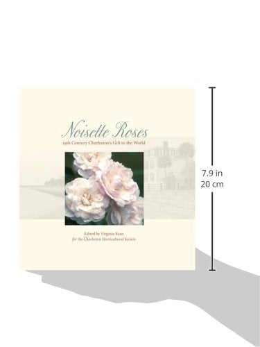 Noisette Roses: 19Th Century Charlestons Gift To The World-new