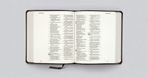 ESV Journaling Bible (Mocha, Threshold Design),Used
