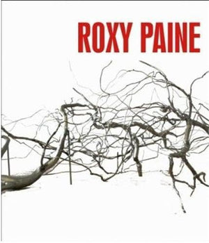 Roxy Paine,Used
