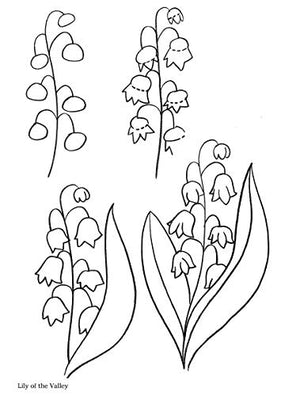 How to Draw Flowers (Dover How to Draw),Used