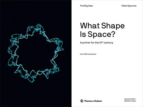 What Shape Is Space? (The Big Idea Series) (The Big Idea Series, 4),Used