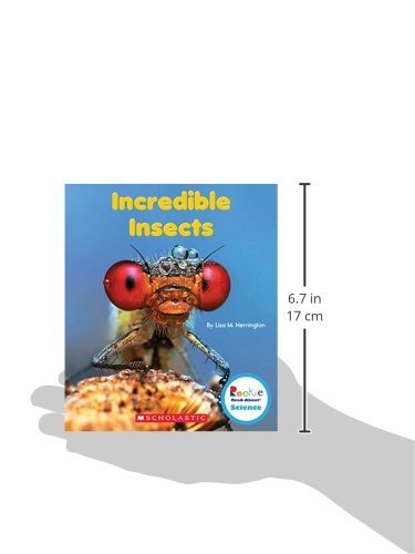 Incredible Insects (Rookie ReadAbout Science: Strange Animals),Used