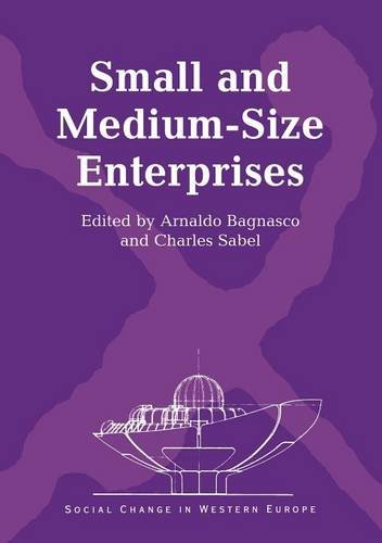 Small and MediumSize Enterprises (Social Change in Western Europe),Used