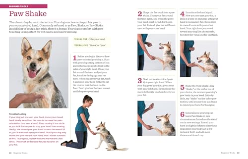 The Big Book of Tricks for the Best Dog Ever: A StepbyStep Guide to 118 Amazing Tricks and Stunts,Used