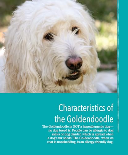Goldendoodles: Complete Guide to Characteristics, Behavior, Health & Wellness, Training, and Everyday Care for Your Goldendoodle,Used