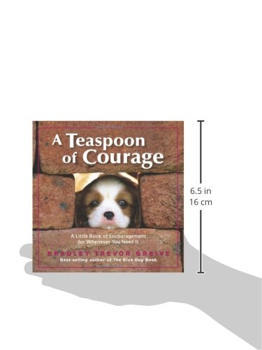 A Teaspoon Of Courage: A Little Book Of Encouragement For Whenever You Need It,New