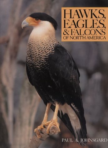 Hawks, Eagles and Falcons of North America: Biology and Natural History,Used