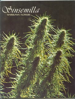 Sinsemilla: Marijuana Flowers