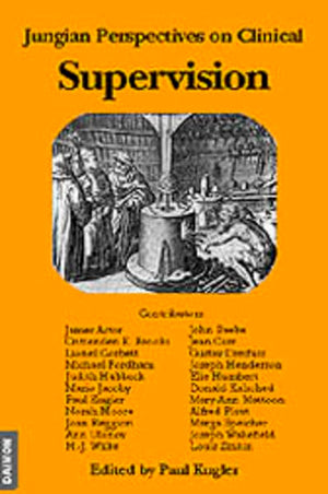 Jungian Perspectives on Clinical Supervision,Used