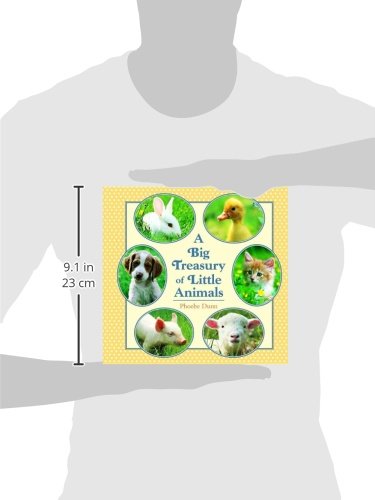Big Treasury of Little Animals,Used