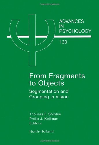 From Fragments To Objects: Segmentation And Grouping In Vision (Volume 130) (Advances In Psychology, Volume 130),Used