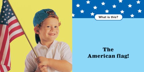 My Flag Book,Used