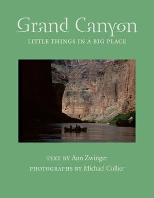 Grand Canyon: Little Things in a Big Place (Desert Places),Used