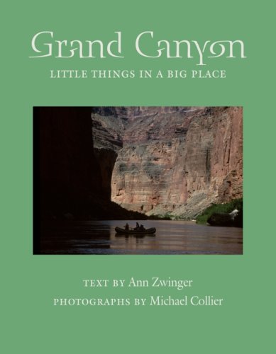 Grand Canyon: Little Things in a Big Place (Desert Places),Used