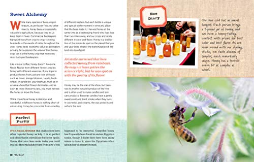 Homegrown Honey Bees: An Absolute Beginner's Guide to Beekeeping Your First Year, from Hiving to Honey Harvest,New
